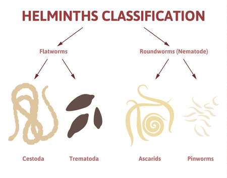 tipos de parasitos estomacales tipos de parasitos estomacales
